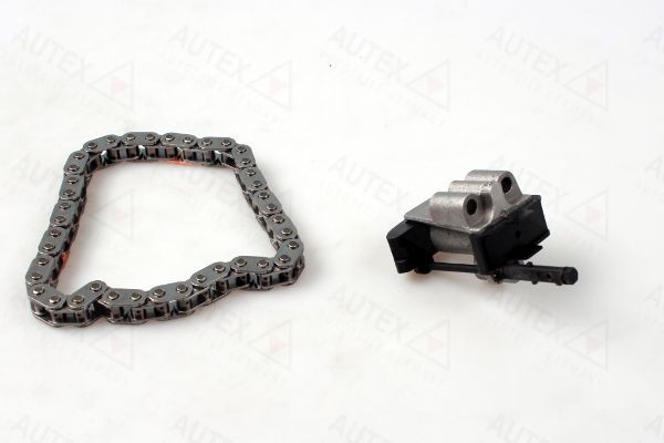 AUTEX Steuerkettensatz 711261 Steuerkettensatz AUTEX GALANT 711261 günstig
