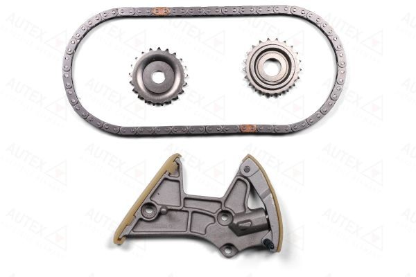 AUTEX Kit catene, Azionamento pompa olio 711369 711369 Catena di trasmissione AUTEX BMW