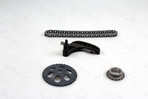 AUTEX Kit catene, Azionamento pompa olio 711383 711383 AUTEX Catena di trasmissione BMW prezzo