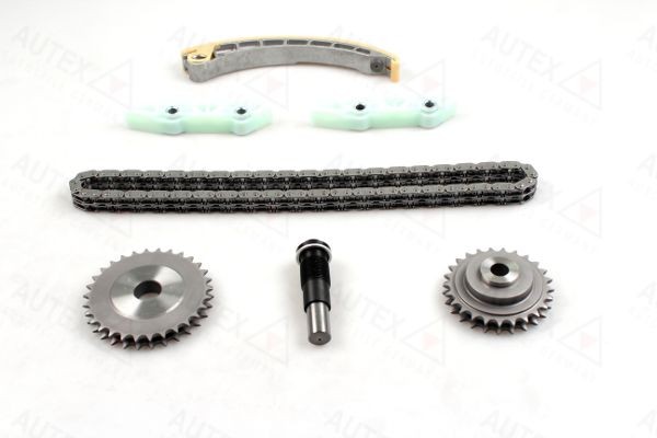 AUTEX Timing chain kit 711419 CITROЁN AUTEX cam chain 711419