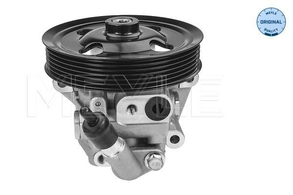 MEYLE Servopumpe 714 631 0030 MEYLE 714 631 0030 Servopumpe MERCEDES-BENZ 170 hva koster