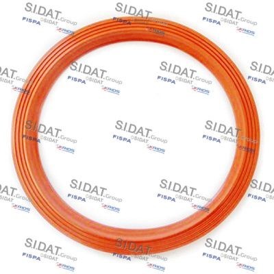 SIDAT Guarnizione, Sensore livello carburante 73100 SIDAT 73100 Guarnizione, sensore livello carburante Audi A1 GBA originale prezzo