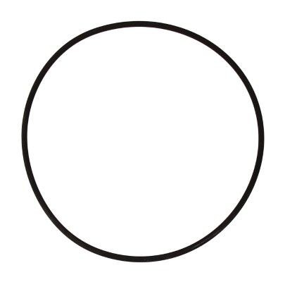 ELRING Dichtring, Zylinderlaufbuchse 743.400 743.400 Zylinderlaufbuchsen ELRING HYUNDAI i30