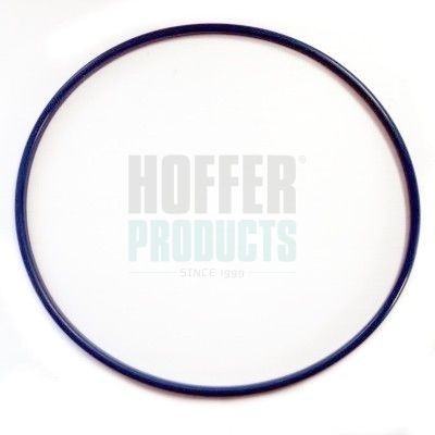 HOFFER Guarnizione, Sensore livello carburante 750GSK07 750GSK07 costo Guarnizione, sensore livello carburante FORD FOCUS HOFFER