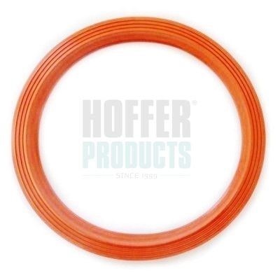 HOFFER Guarnizione, Sensore livello carburante 750GSK09 750GSK09 Guarnizione, sensore livello carburante HOFFER FORD FOCUS costo