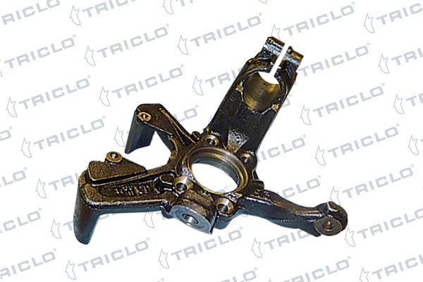 TRICLO Fusée d'essieu, suspension de roue 762210 Fusée d'essieu suspension de roue TRICLO TIGUAN 762210 pas cher