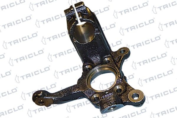 TRICLO Fusée d'essieu, suspension de roue 762215 Porte moyeu TRICLO TIGUAN 762215 pas cher