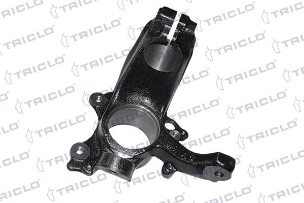 TRICLO Ακραξόνιο, ανάρτηση τροχών 762218 TRICLO Ακραξόνιο FORD 762218