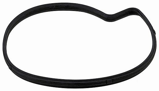 ELRING Guarnizione, Pompa acqua 773.790 ELRING 773.790 Guarnizione pompa acqua F31 prezzo