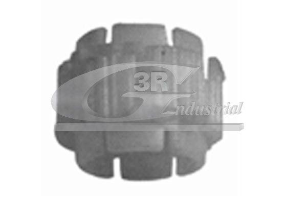3RG Bøsning, styreaksel 80219 3RG 80219 Boxer Ladvogn/Chassis (250) Reparationssæt, styretøj pris