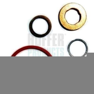 HOFFER Injektor-Reparatursatz 8029582 8029582 HOFFER Reparatursatz, Einspritzdüse Tabelle