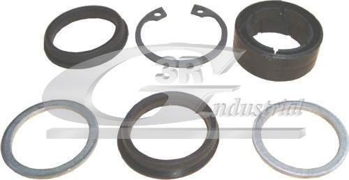 3RG Bøsning, styreaksel 80613 3RG 80613 Boxer Ladvogn/Chassis (250) Reparationssæt, styretøj pris