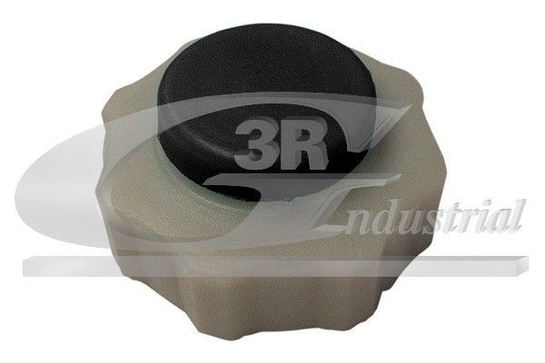 3RG Tappo, serbatoio refrigerante 80631 80631 Tappo vaschetta radiatore ROVER 3RG costo