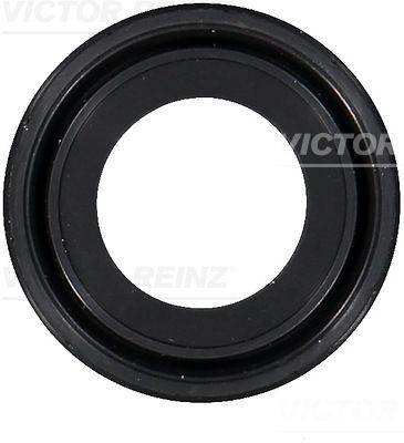 REINZ Tesniaci krúżok vačkového hriadeľa 81-10459-00 REINZ 81-10459-00 Tesniaci krúżok vačkového hriadeľa CHEVROLET Camaro V Coupe (GMX511) 3.6 316 KS 2012