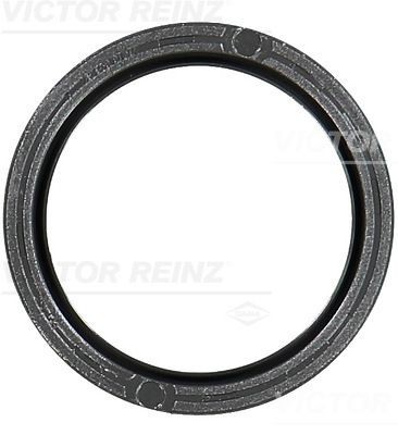 Nokkenas keerring REINZ 81-10481-00 REINZ 81-10481-00 Nokkenas keerring VOLVO XC 90 2016