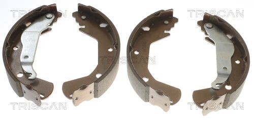 TRISCAN Bremsebakkesæt 8100 21004 Tromlebremser TRISCAN Chevrolet AVEO 8100 21004
