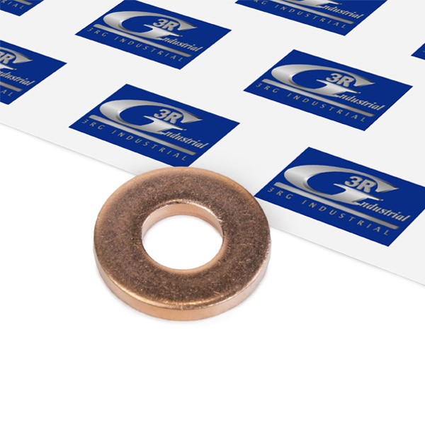 3RG Brandplaatjes, injectiesysteem 81215 3RG 81215 Brandplaat, verstuiver C5 X III originele prijs
