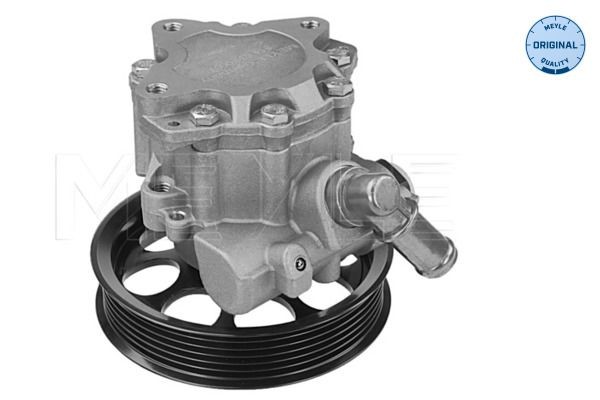 MEYLE Servopumpe 814 631 0007 MEYLE 814 631 0007 SAAB 9-3X Stationcar Servopumpe til en rimelig pris