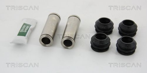 TRISCAN Jarrusatulan ohjainhylsysarja 8170 169005 8170 169005 TRISCAN Ohjaustappi CITROЁN SAXO