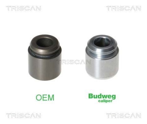 TRISCAN Stempel, bremsecaliper 8170 232803 Stempel bremsecaliper TRISCAN Dacia LODGY 8170 232803