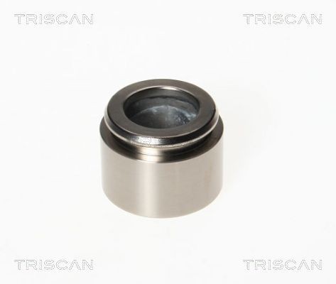 TRISCAN Bromskolv 8170 234043 8170 234043 TRISCAN bromskolv MERCEDES-BENZ B-klass