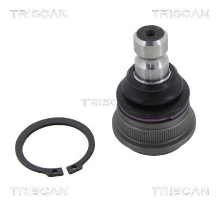 TRISCAN Fuseekogel 8500 18537 TRISCAN 8500 18537 Fuseekogel Hyundai i10 IA goedkoop
