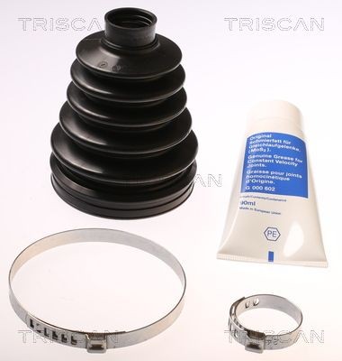 TRISCAN Asmanchetten set 8540 13816 8540 13816 Ashoes TOYOTA SUPRA TRISCAN
