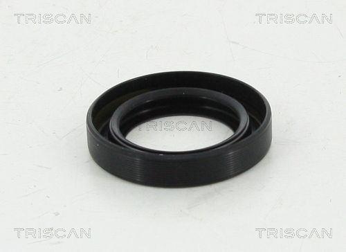 TRISCAN Keerring, differentieel 8550 10047 8550 10047 TRISCAN Keerring, differentieel Skoda goedkoop
