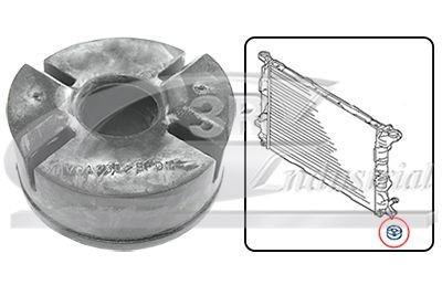 3RG Supporto, Radiatore 85733 85733 Parti fissaggio radiatore 3RG HONDA FR-V costo