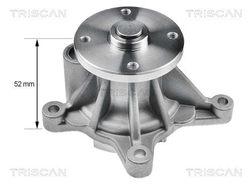 TRISCAN Vannpumpe 8600 43021 Vannpumpe TRISCAN Hyundai H100 8600 43021