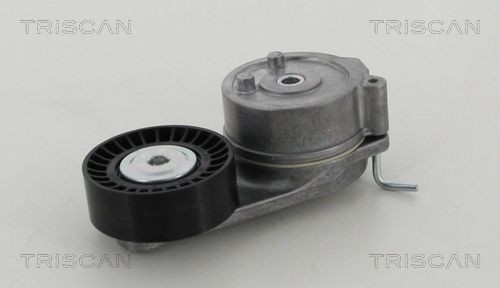 TRISCAN Napínacia kladka rebrovaného klinového remeňa 8641 153012 8641 153012 Napínacia kladka FIAT BRAVO TRISCAN