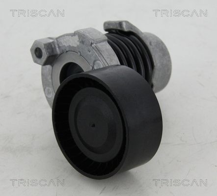 TRISCAN Spanrol, poly V-riem 8641 253012 Spanrol TRISCAN DACIA 8641 253012