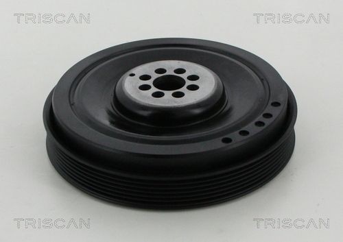TRISCAN Remenica kľukového hriadeľa 8643 29012 8643 29012 Remenica kľukového hriadeľa OPEL FRONTERA TRISCAN