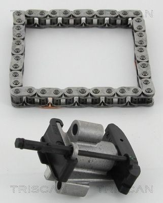 TRISCAN Mootori keti komplekt 8650 10009 Juhtkett TRISCAN Ford FIESTA 8650 10009