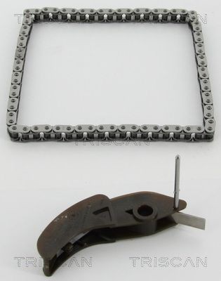 TRISCAN Kjedesett, oljepumpemotor 8650 10010 Drivkjede TRISCAN FORD 8650 10010