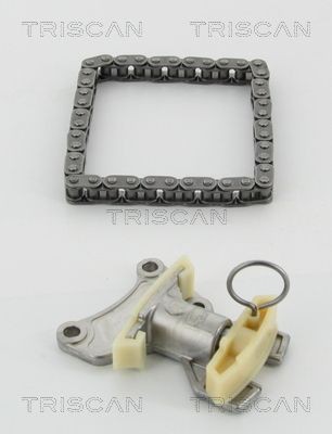TRISCAN Distributiekettingset 8650 29007 8650 29007 Distributieketting TRISCAN AUDI A4