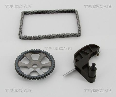TRISCAN Kjedesett, oljepumpemotor 8650 29013 Drivkjede TRISCAN FORD 8650 29013