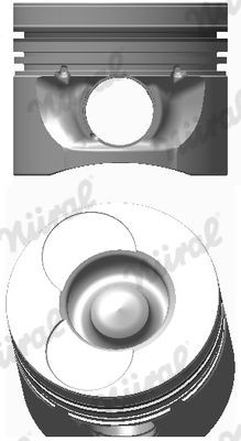 NÜRAL Kolvid 87-743100-00 NÜRAL 87-743100-00 Kolvid Korando Family hind