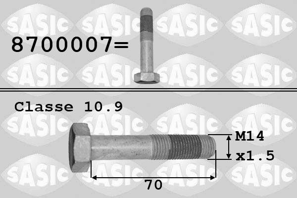 SASIC Boulon de poulie 8700007 SASIC 8700007 Roues dentées PEUGEOT Expert II Tepee (VF3X) 2009