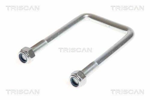 TRISCAN Spring Clamp 8765 100013 TRISCAN 8765 100013 IVECO Daily III Minibus parabolic springs replacement