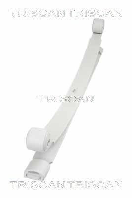 TRISCAN Leaf springs 8765 16041 TRISCAN 8765 16041 Leaf springs
