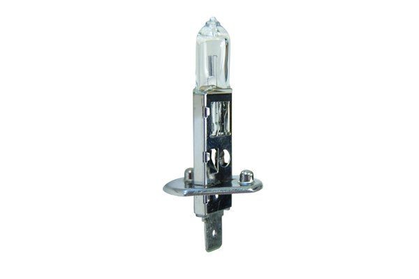 Lampadina faro principale TRUCKTEC AUTOMOTIVE 88.58.101 H1 TRUCKTEC AUTOMOTIVE 88.58.101 Lampadina faro Xenon e LED Fiat MAREA 2005