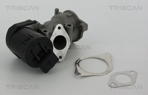 TRISCAN EGR-ventil 8813 10001 8813 10001 TRISCAN avgasåterföringsventil FIAT 500