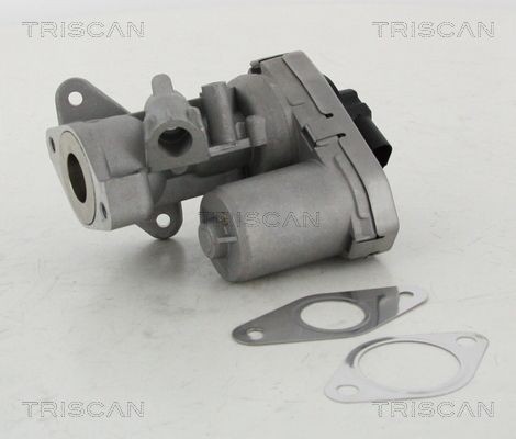 TRISCAN EGR-ventil 8813 10002 Agr ventil TRISCAN ULYSSE 8813 10002 billige