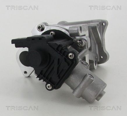 TRISCAN EGR-ventil 8813 10007 EGR TRISCAN BERLINGO 8813 10007 billig