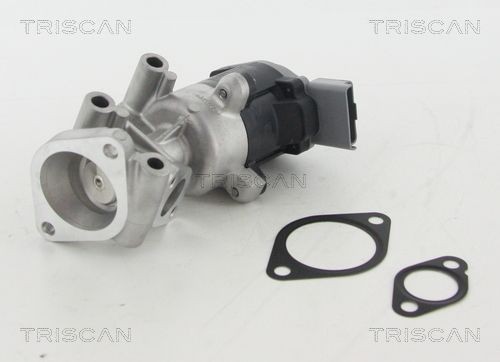 TRISCAN EGR-ventil 8813 10009 8813 10009 TRISCAN avgasåterföringsventil CITROЁN C1