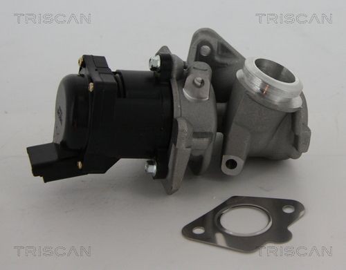 TRISCAN EGR-ventil 8813 10010 8813 10010 Agr ventil FIAT ULYSSE TRISCAN
