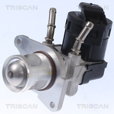 TRISCAN AGR - Ventil 8813 11001 TRISCAN AGR modul LADA 8813 11001