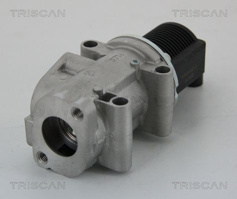TRISCAN EGR-ventil 8813 15032 8813 15032 TRISCAN egr Fiat 500