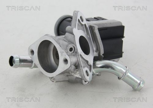 TRISCAN EGR-ventil 8813 16036 8813 16036 TRISCAN agr CITROЁN C1
